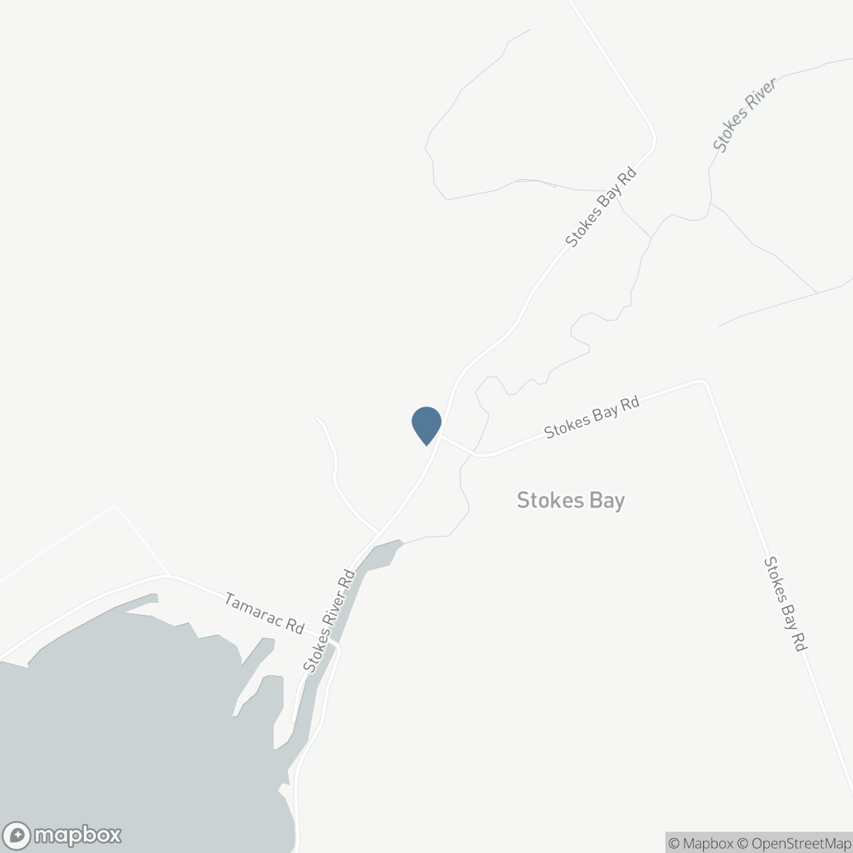 595 STOKES BAY ROAD, Lion's Head, Ontario N0H 1W0